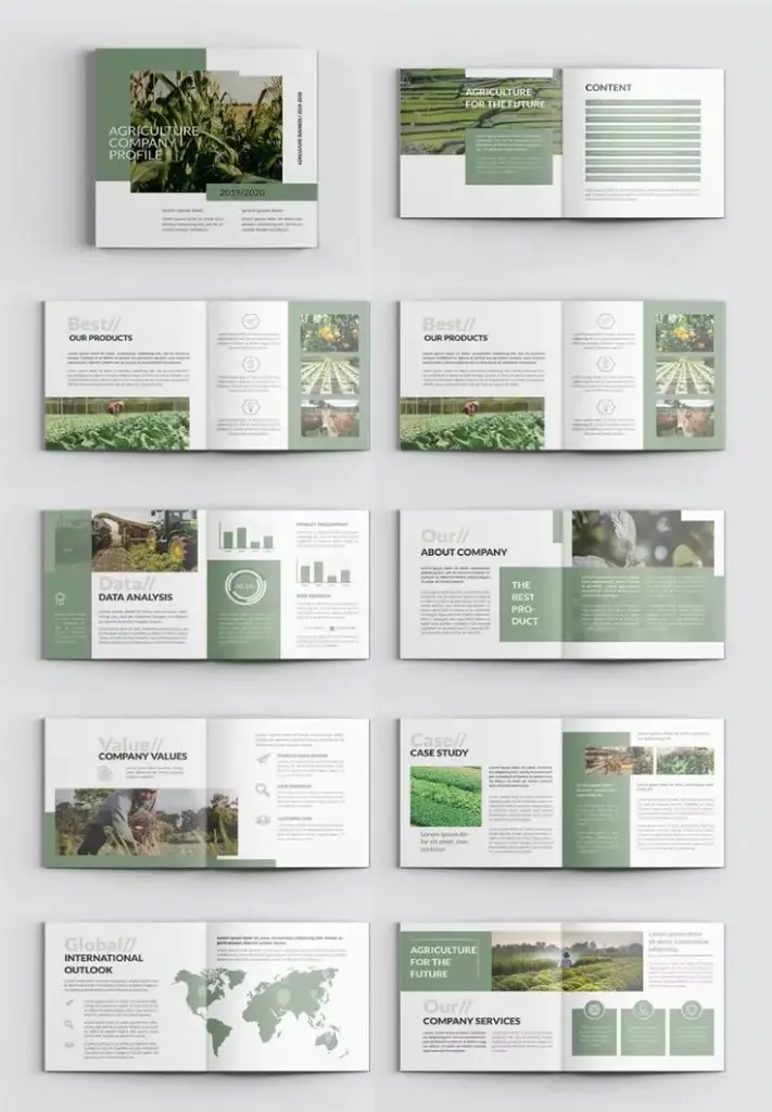 New agriculture broucher design